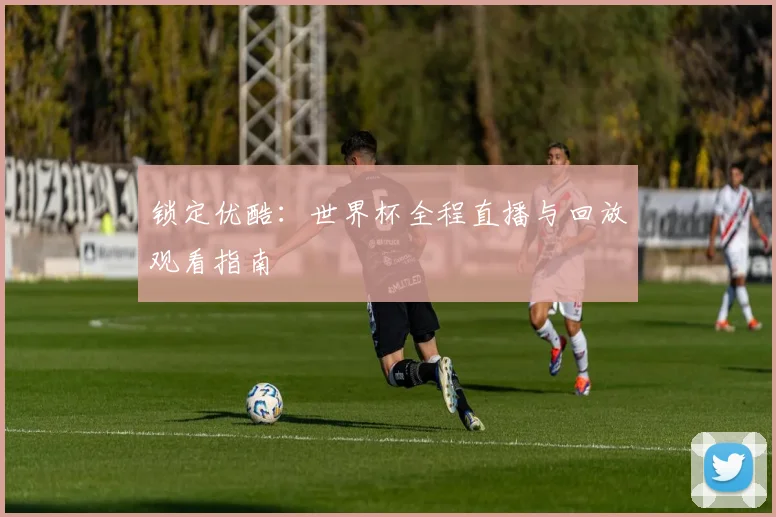 锁定优酷：世界杯全程直播与回放观看指南