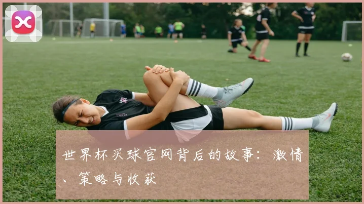 世界杯买球官网背后的故事：激情、策略与收获