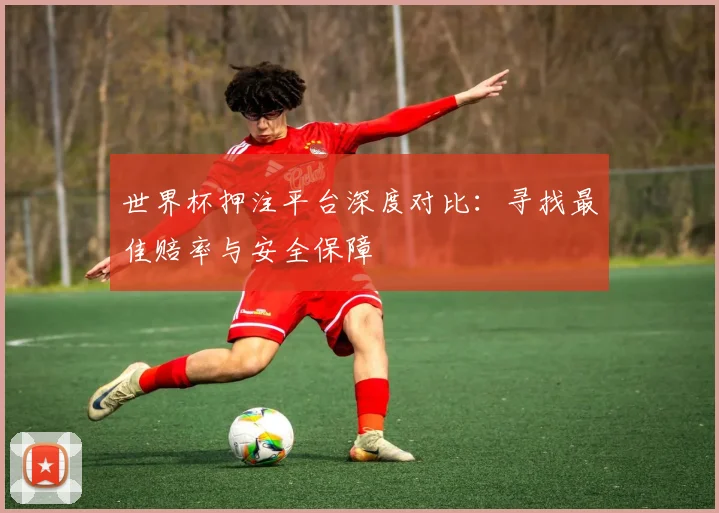 世界杯押注平台深度对比:寻找最佳赔率与安全保障
