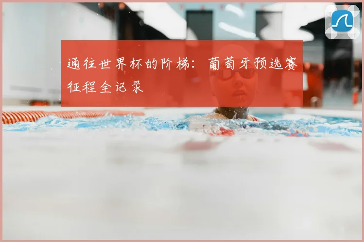 通往世界杯的阶梯：葡萄牙预选赛征程全记录