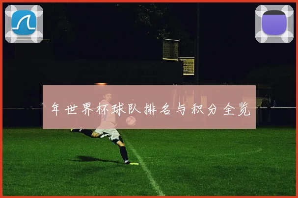 年世界杯球队排名与积分全览