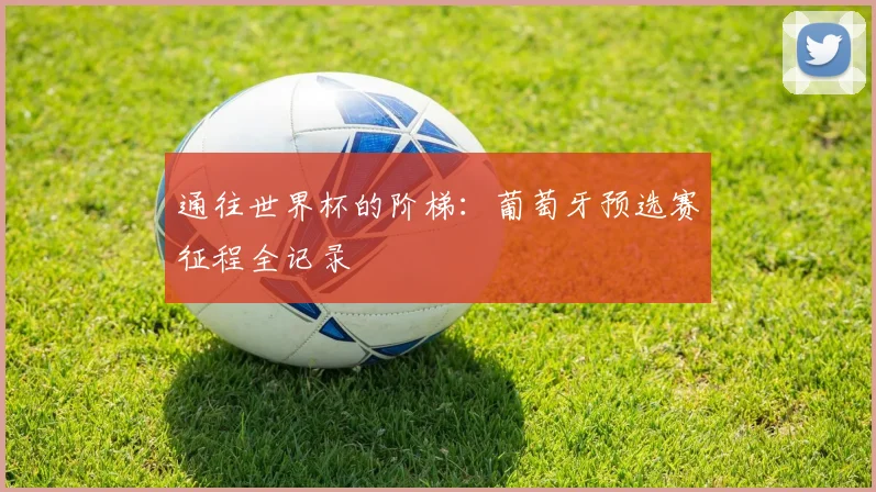 通往世界杯的阶梯：葡萄牙预选赛征程全记录