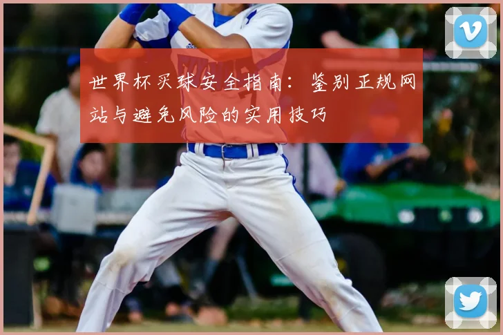 世界杯买球安全指南:鉴别正规网站与避免风险的实用技巧