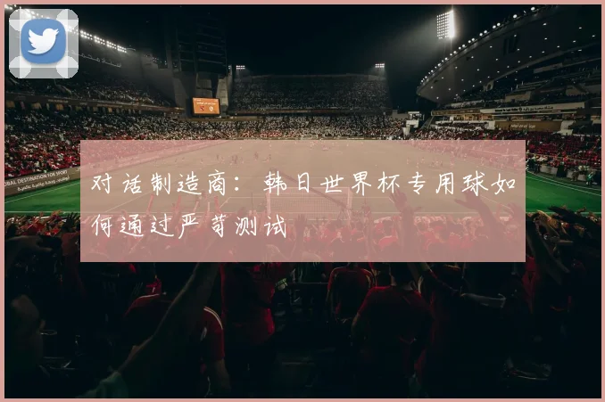 对话制造商:韩日世界杯专用球如何通过严苛测试