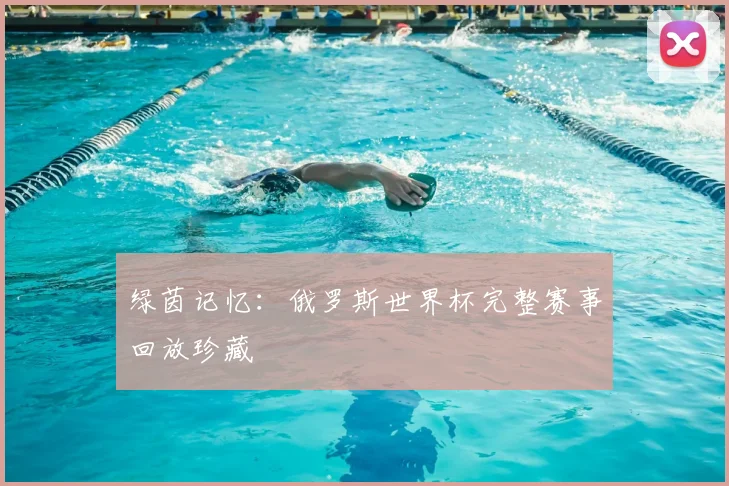 绿茵记忆：俄罗斯世界杯完整赛事回放珍藏