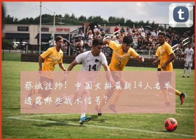 蔡斌挂帅!中国女排最新14人名单透露哪些战术信号?